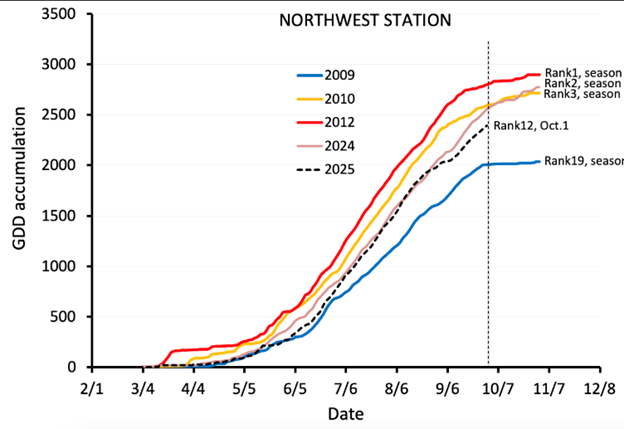 Line graph titled &ldquo;NORTHWEST STATION&rdquo; showing Growing Degree Day (GDD) accumulation over time from February 1 to December 8. The y-axis ranges from 0 to 3,500 GDD. Multiple years are plotted: 2009 (blue), 2010 (yellow), 2012 (red), 2024 (gray), and 2025 (dashed black). The 2009 line is consistently lowest, ending near 2,100 GDD (Rank 19, season). The 2012 line is the highest, leveling off just above 3,000 GDD (Rank 1, season), followed closely by 2010 (Rank 2) and 2024 (Rank 3). The 2025 dashed line runs below 2024 but near the middle, labeled &ldquo;Rank 12, Oct. 1.&rdquo; A vertical dashed line marks October 7. The graph highlights how 2025 tracks slightly below the recent high-accumulation years but well above 2009.